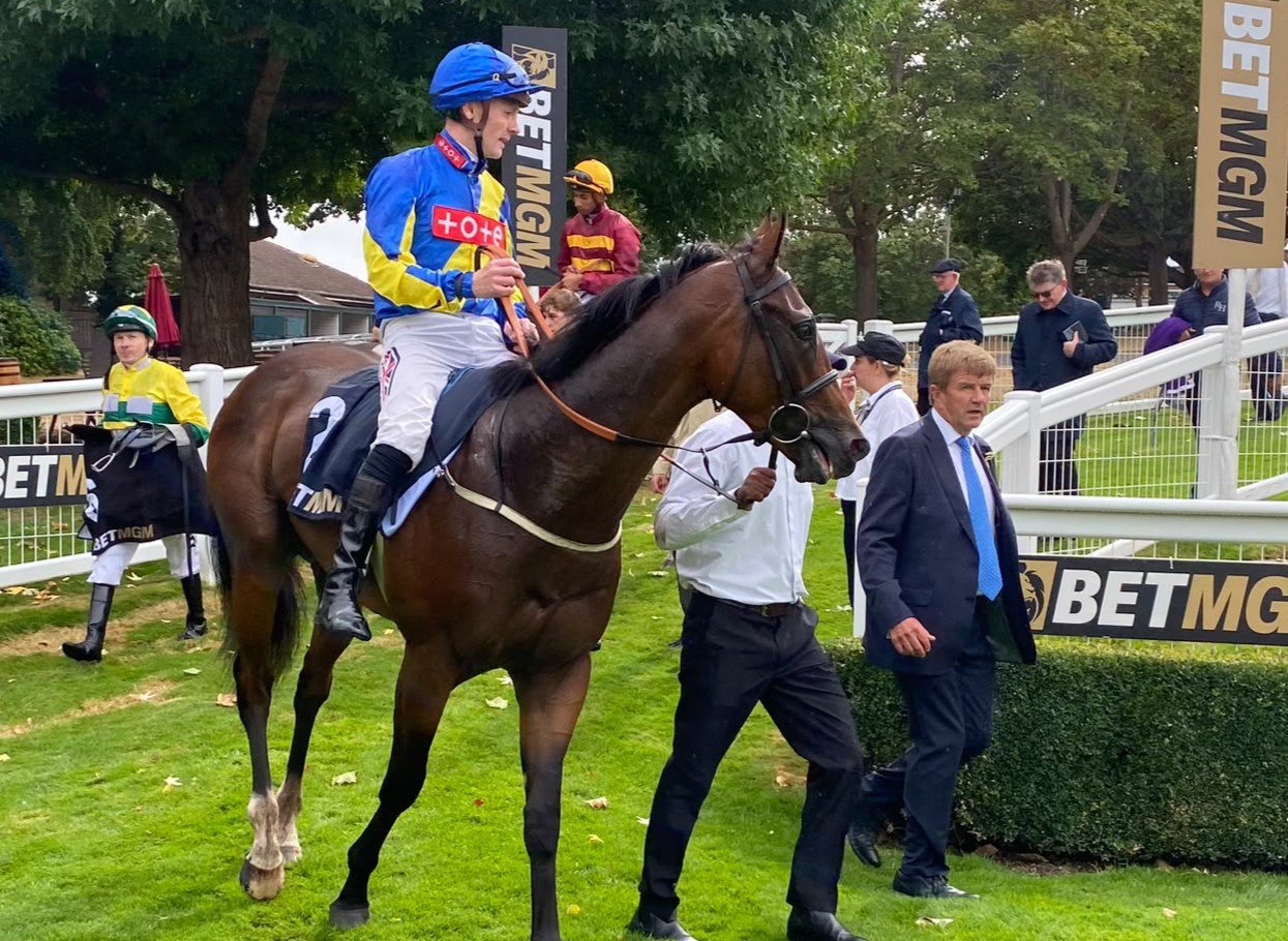 Breacher at Sandown