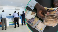 CBN Releases New Rates Access, UBA, GTB, Other Banks Charge Customers for Loan Request