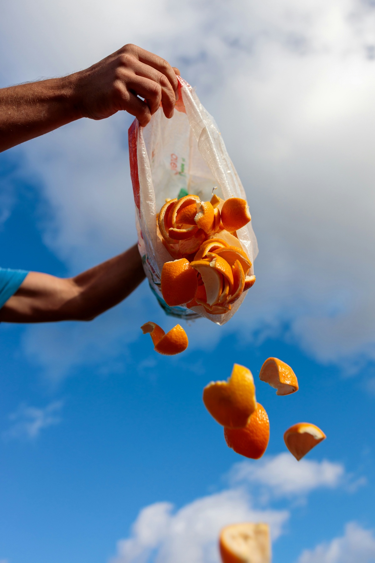 orange peels
