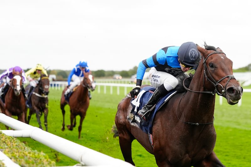 Dylan Browne McMonagle rides Giant Sequoia to a three-length Futurity success at Doncaster. Photograph: Alan Crowhurst/Getty Images