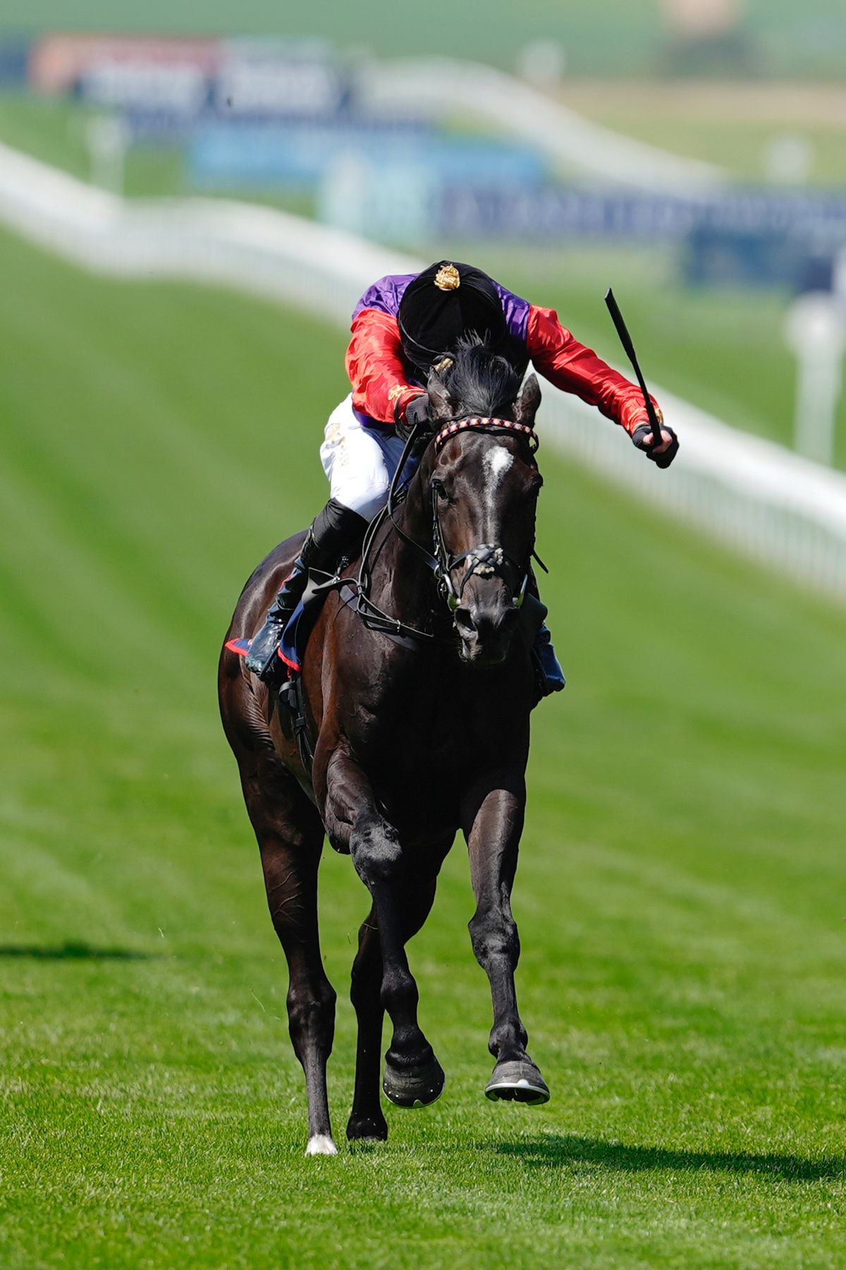 Point Of Law: won the Bahrain Trophy for the King and Queen