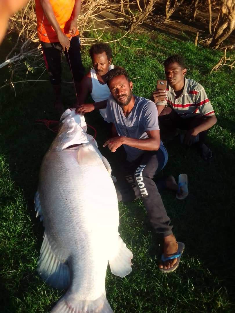 fc94f77ad6d8c70538f1fe9e4b94e392?source=nlp&quality=hq&format=webp&resize=720