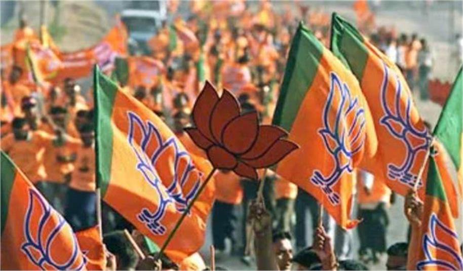 mp bjp rift escalates as vindhya authority chairman accuses vice chairman