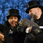 Babies of Punxsutawney Phil and groundhog wife Phyllis have been named