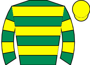 Horse silk