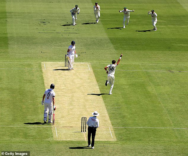 Starc revels in dismissing Ben Duckett in the first over in Brisbane to go with his two first-over wickets in Perth