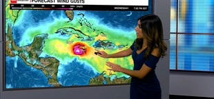 See where Hurricane Beryl is projected to head next
