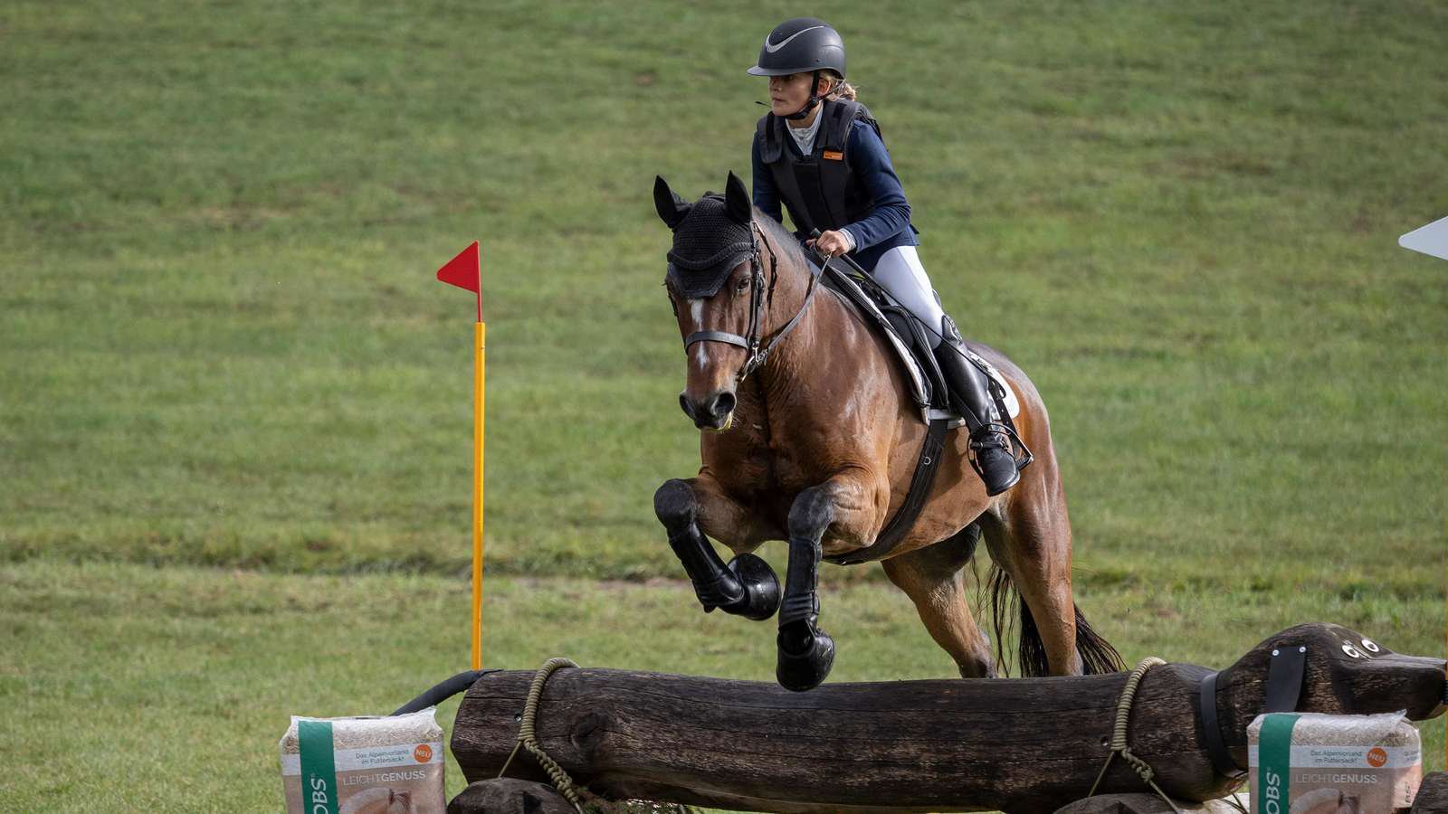 Herbstturnier Niederseeon --  Karolina Salem auf Ballinaboy Flash 