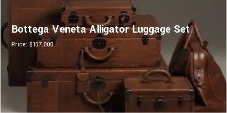 alligator luggage set