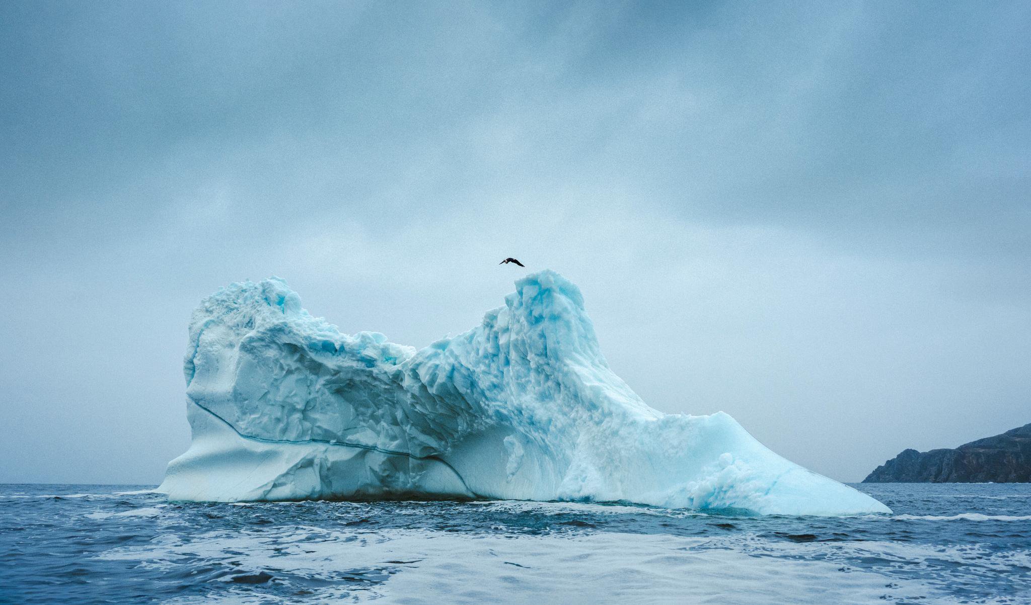 Carlson and her crew had chosen to jump off a free-floating iceberg they dubbed "No Name" off the coast of Twillingate near Newfoundland, Canada.
